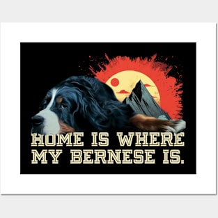 Bernese mountain dog Posters and Art